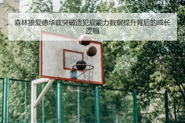 森林狼爱德华兹突破造犯规能力数据提升背后的成长逻辑